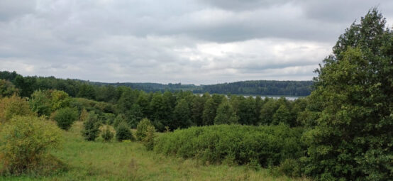 Działka blisko jeziora Dobrąg