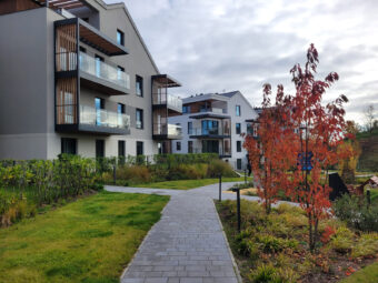 Duży ogródek, hala garażowa