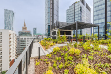 Apartament w Centrum ul. Chmielna