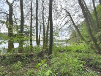 Działka rekreacyjna przy Jezioro Wielkie