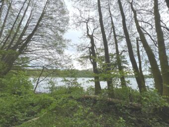 Działka rekreacyjna przy Jezioro Wielkie