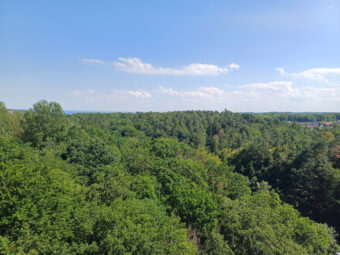 2 pokoje Witomino wysoki standard/ 1. piętro