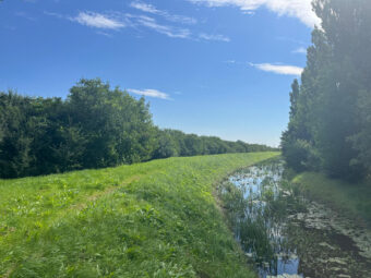 Tczew – ziemia przemysłowa wzdłuż torów kolejowych
