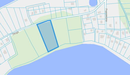 Działka leśna z linią brzegową jeziora Bieszkowice