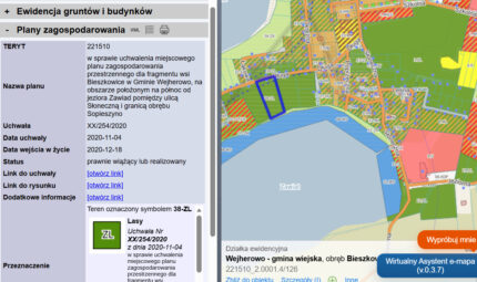 Działka leśna z linią brzegową jeziora Bieszkowice