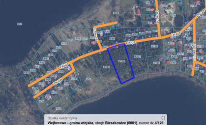 Działka leśna z linią brzegową jeziora Bieszkowice