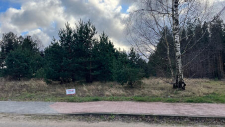 Działka z własnym zadrzewieniem- Skrzeszewo