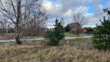 Działka z własnym zadrzewieniem- Skrzeszewo