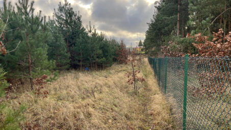 Działka z własnym zadrzewieniem- Skrzeszewo