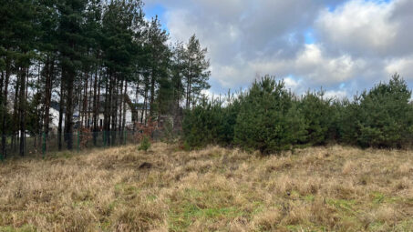 Działka z własnym zadrzewieniem- Skrzeszewo