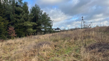 Działka z własnym zadrzewieniem- Skrzeszewo