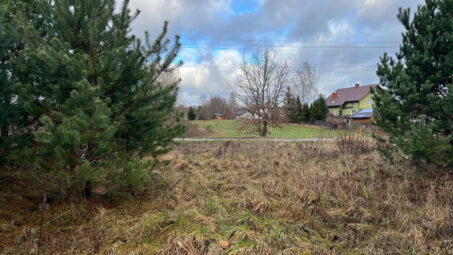 Działka z własnym zadrzewieniem- Skrzeszewo