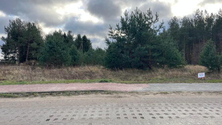 Działka z własnym zadrzewieniem- Skrzeszewo