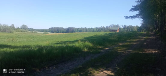 Zamieszkaj tam, gdzie las mówi „dzień dobry” NWP