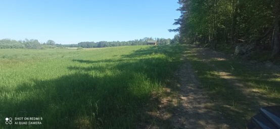 Zamieszkaj tam, gdzie las mówi „dzień dobry” NWP