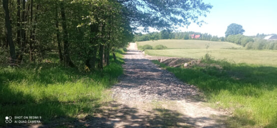 Zamieszkaj tam, gdzie las mówi „dzień dobry” NWP