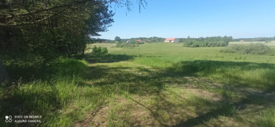 Zamieszkaj tam, gdzie las mówi „dzień dobry” NWP