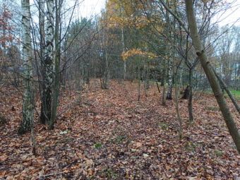 Duża działka z linią brzegową | Otomin | 13 551 m²