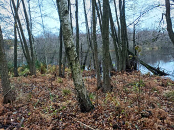 Duża działka z linią brzegową | Otomin | 13 551 m²