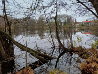 Duża działka z linią brzegową | Otomin | 13 551 m²