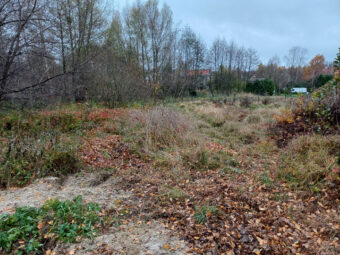 Duża działka z linią brzegową | Otomin | 13 551 m²