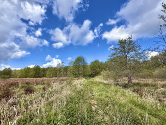 Białogóra! Dwie duże działki| spacerem nad morze!
