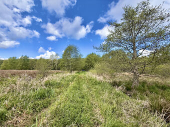 Białogóra! Dwie duże działki| spacerem nad morze!