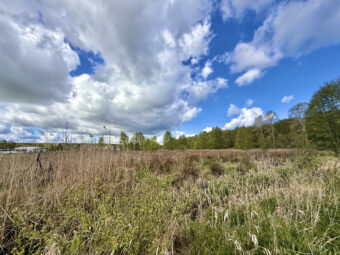 Białogóra! Dwie duże działki| spacerem nad morze!