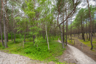 Dębki! 400 m od morza Dom 120 m2