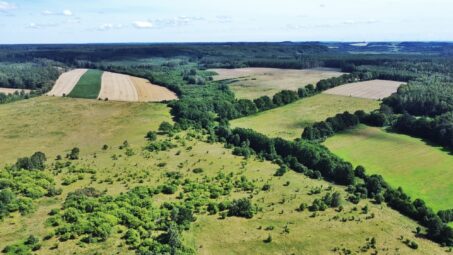 Sarbsk! Duża działka przy strumyku