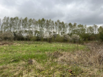 Duża działka z fragmentem pod zabudowę Sarbsk