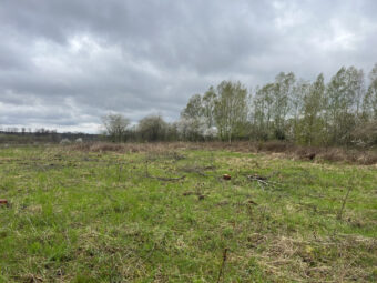 Duża działka z fragmentem pod zabudowę Sarbsk