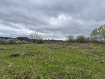 Duża działka z fragmentem pod zabudowę Sarbsk