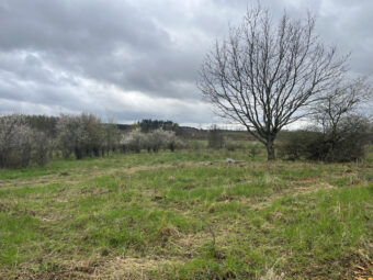 Duża działka z fragmentem pod zabudowę Sarbsk