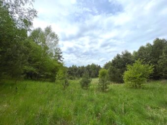 Działka przy lesie w Maliki Górne- blisko jeziora