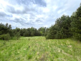 Działka przy lesie w Maliki Górne- blisko jeziora