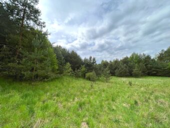 Działka przy lesie w Maliki Górne- blisko jeziora