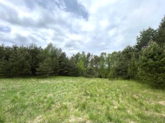 Działka przy lesie w Maliki Górne- blisko jeziora