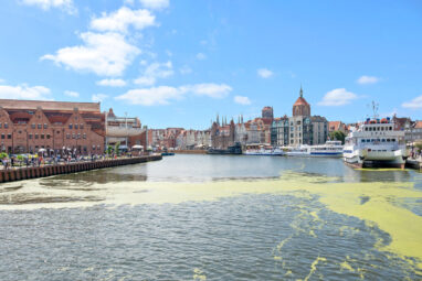 3 pok.|bezpośredni widok na rzekę|1 linia