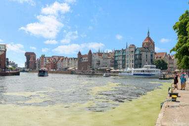 3 pok.|bezpośredni widok na rzekę|1 linia