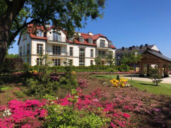 Ekskluzywny apartament z widokiem na park.