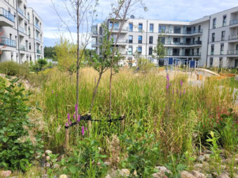 3 Pokoje dla Twojej Rodziny