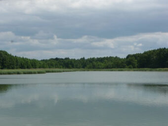 Działka Ciechocin | Chojnice | 2.38 hektarów