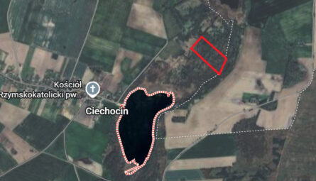 Działka Ciechocin | Chojnice | 2.38 hektarów