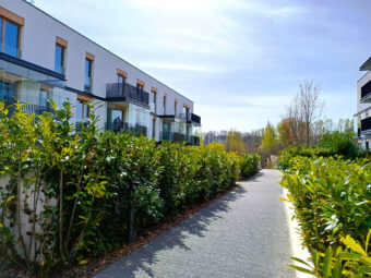 2 pokoje/blisko morza/Orłowo/ Spa/ Hala