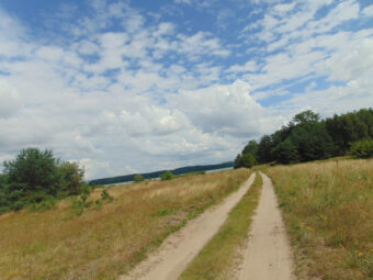 Działka Rolna | Konarzyny