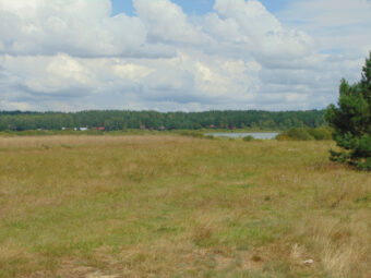 Działka Rolna | Konarzyny