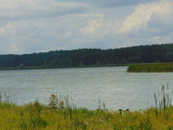 Działka Rolna | Konarzyny