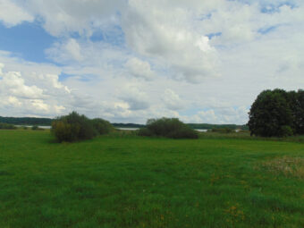 Działka Rolna | Konarzyny