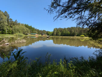 Siedlisko slow-life 2,63 ha pod Bytowem